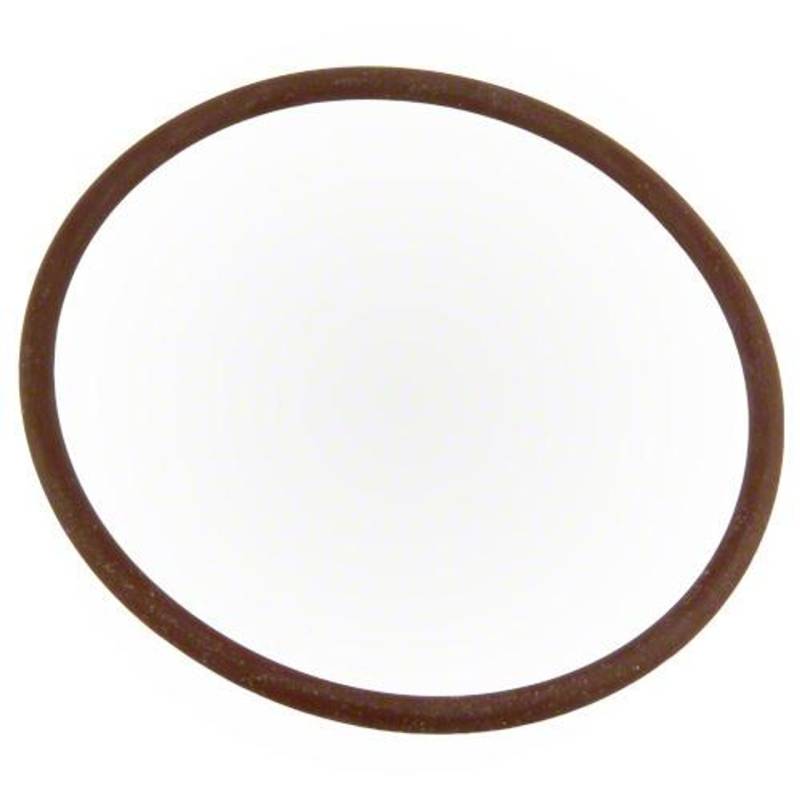 CMP POWERCLEAN LID O-RING